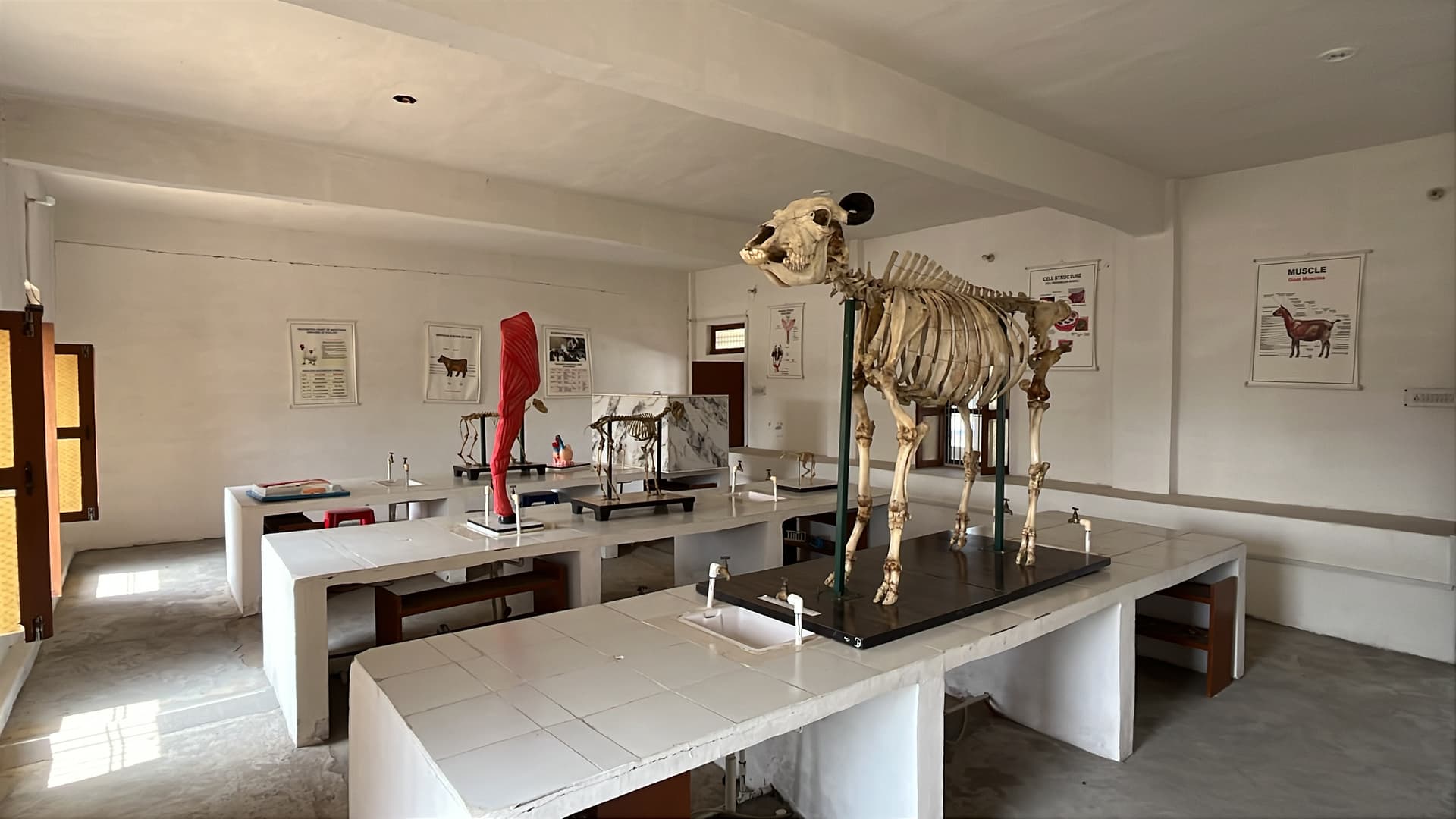 G.S.M Para Veterinary College