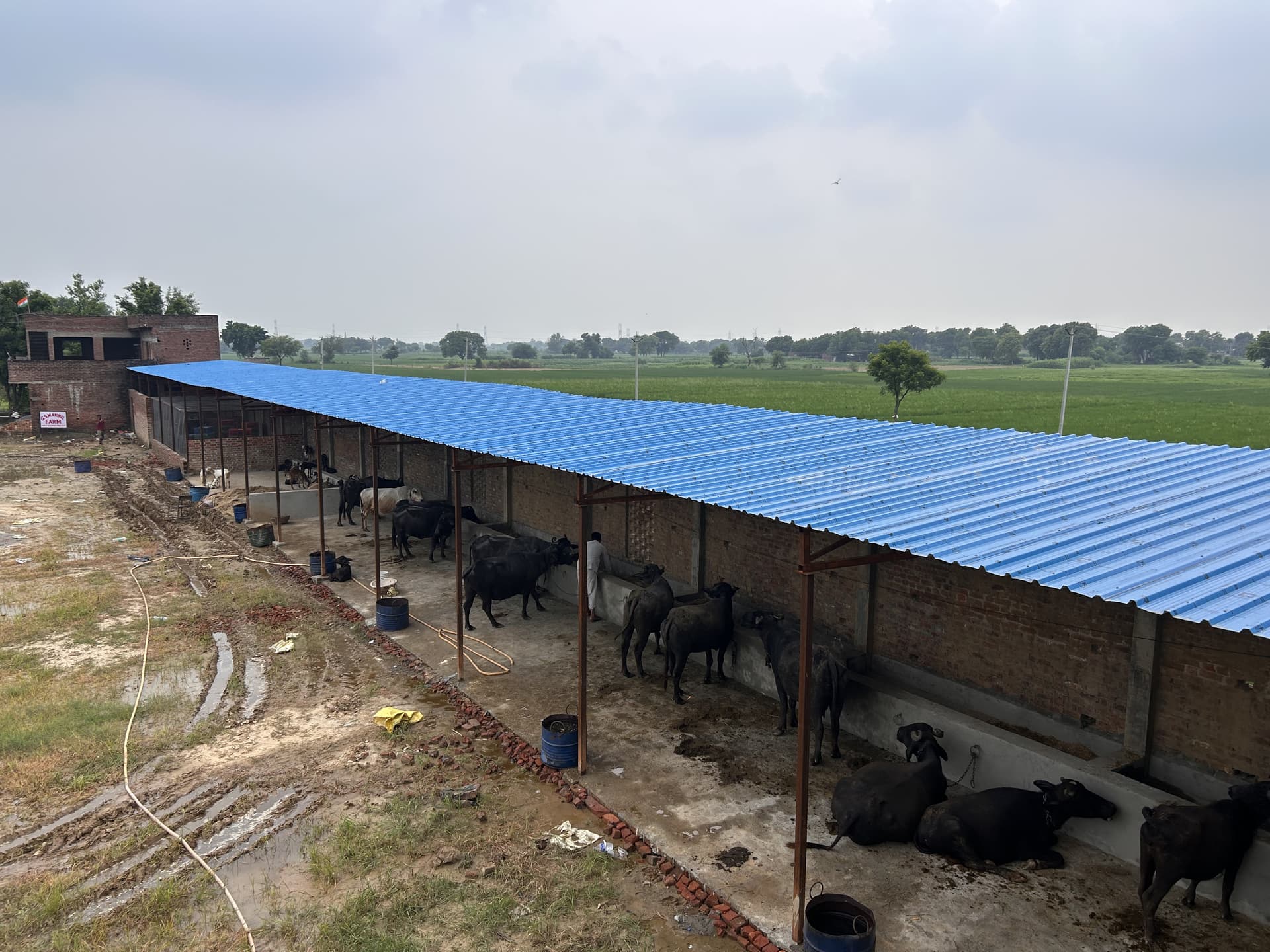G.S.M Para Veterinary College